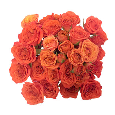 5 Stem Spray Roses Assorted Box - Each - Image 1