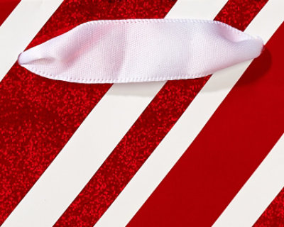 American Greetings Gift Bag  - Each - Image 2