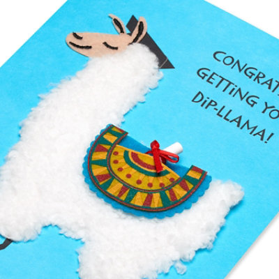 Papyrus Diploma Llama Graduation Card - Each - Image 2