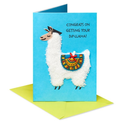 Papyrus Diploma Llama Graduation Card - Each - Image 4