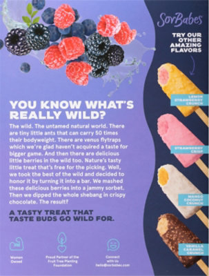 SorBabes Wildberry Crisp Sorbet Bars - 4-2 Fl. Oz. - Image 6
