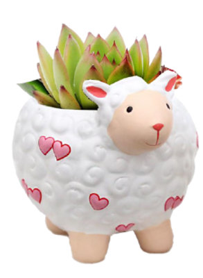 Succulent Mad For Ewe - 2 IN - Image 1