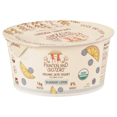 Painterland Sisters Icelandic Style Skyr Blueberry Lemon Organic Yogurt - 5.3 OZ - Image 3