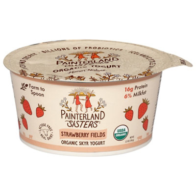 Painterland Sisters Icelandic Style Skyr Strawberry Organic Yogurt, 5.3oz - 5.3 OZ - Image 2