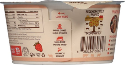 Painterland Sisters Icelandic Style Skyr Strawberry Organic Yogurt, 5.3oz - 5.3 OZ - Image 5