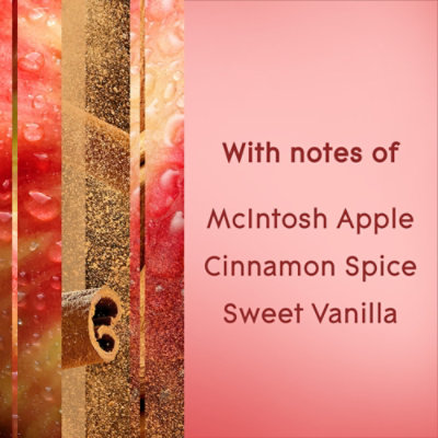 Glade Apple Cinnamon  Scent Fragrance Infused Air Freshener Spray - 8.3 Oz - Image 3