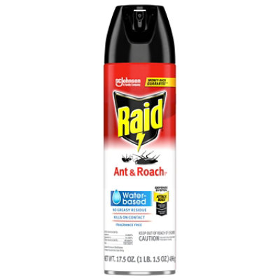 RAID Ant And Roach Killer 26 Water Based - 17.5 Oz - Image 1