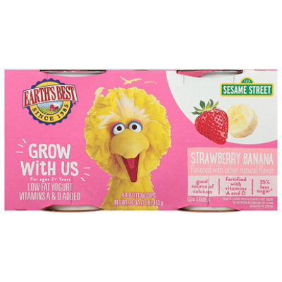 Earth's Best Kids Strawberry Banana Yogurt - 4 Count