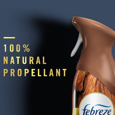 Febreze Air Mountain - 8.8 Oz - Image 7