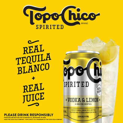 Topo Chico Spirited Vodka & Lemon Hard Seltzer 5.9% ABV Cans - 4-12 Fl. Oz. - Image 3