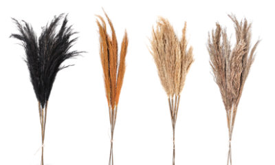 Overjoyed Boutique Design Fall Dried Reed Spray Pick - Each - Image 1