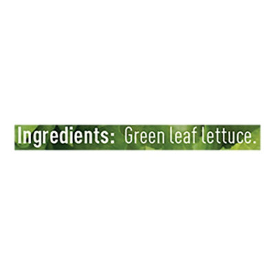 Earthbound Farm Greenhouse Crisp Lettuce - 4 Oz - Image 4