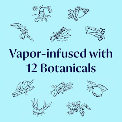 Bombay Sapphire Gin Murcian Lemon 700 Ml - 700 ML - Image 5