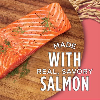 Purina Cat Chow Complete Dry Cat Food, Salmon - 3.15 Lb. - 3.15 LB - Image 5