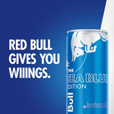 Red Bull Sea Blue Edition Energy Drink Juneberry- 4 - 8.4FZ - Image 4