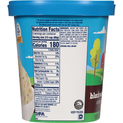 Deans Country Fresh Black Walnut Ice Cream - 48 Oz - Image 1