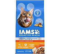 IAMS Proactive Health Healthy Enjoyment Dry Cat Food, Chicken & Salmon - 6 Lb. - 6 Lb