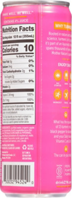 Zyn Water Mixed Berry - 12 FZ - Image 6