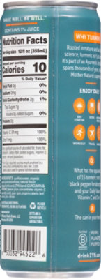 Zyn Water Lemon Ginger - 12 FZ - Image 6