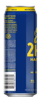 2 Hoots Hard Iced Tea Original 24 Fl Oz In Cans - 24 FZ - Image 3