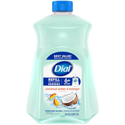 Dial refill hand soap sale