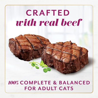 Purina Fancy Feast Gems Mousse Pate With Beef - 2-2 Oz. Tubs - 2-2 OZ - Image 4