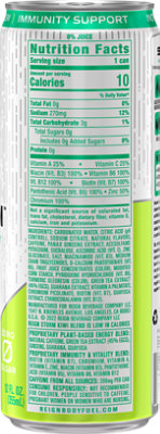 Reign Storm Kiwi Blend - 12 Fl. Oz.