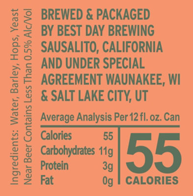 Best Day Kolsch N/a 6-12oz In Cans - 6-12 FZ - Image 1