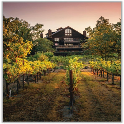 La Crema Willamette Valley Chardonnay Wine - 750 ML - Image 2