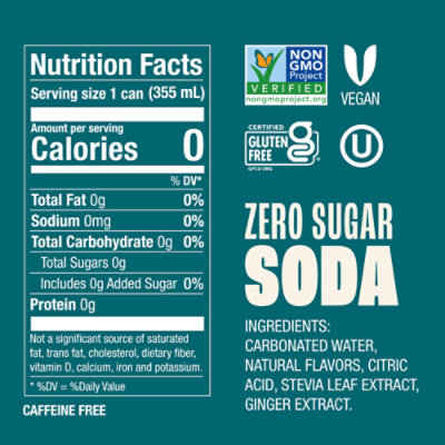Zevia Zero Sugar Ginger Ale Soda - 12-12 Fl. Oz. - Image 3