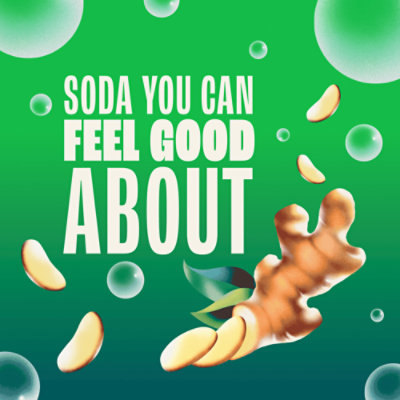 Zevia Zero Sugar Ginger Ale Soda - 12-12 Fl. Oz. - Image 5
