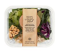 Hk Map Asian Style Chicken Salad - 5.9 OZ
