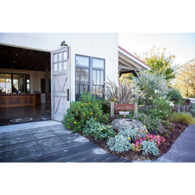 Copain Les Viosins Anderson Valley Pinot Noir - 750 Ml - Image 2