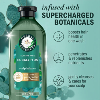 Herbal Essences Bio Renew Aloe Eucalyptus Sulfate Free Shampoo Scalp Balance, 13.5 Fl Oz - 13.5 FZ - Image 2