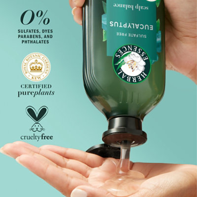 Herbal Essences Bio Renew Aloe Eucalyptus Sulfate Free Shampoo Scalp Balance, 13.5 Fl Oz - 13.5 FZ - Image 5