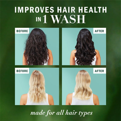 Herbal Essences Bio Renew Aloe Eucalyptus Sulfate Free Shampoo Scalp Balance, 13.5 Fl Oz - 13.5 FZ - Image 6