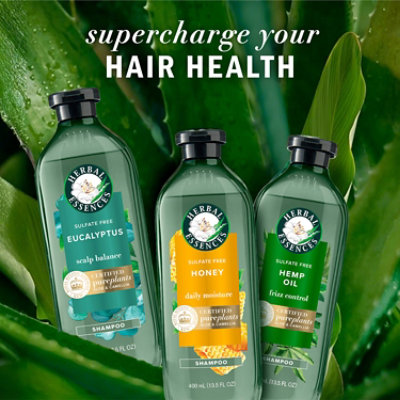 Herbal Essences Bio Renew Aloe Eucalyptus Sulfate Free Shampoo Scalp Balance, 13.5 Fl Oz - 13.5 FZ - Image 7