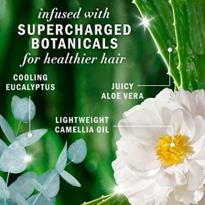 Herbal Essences Bio Renew Eucalyptus Potent Aloe Conditioner Scalp Balance - 13.5FZ - Image 4