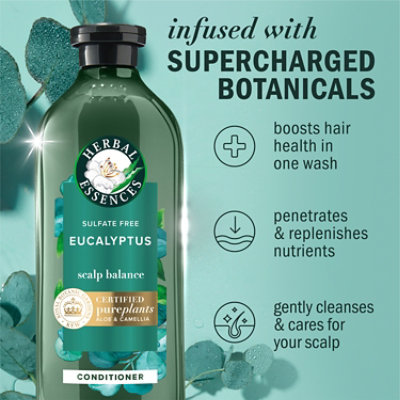 Herbal Essences Bio Renew Eucalyptus Potent Aloe Conditioner Scalp Balance - 13.5FZ - Image 2
