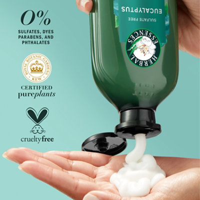 Herbal Essences Bio Renew Eucalyptus Potent Aloe Conditioner Scalp Balance - 13.5FZ - Image 5