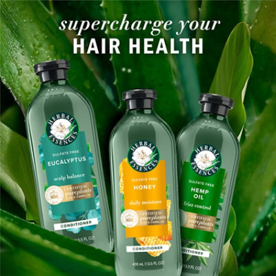 Herbal Essences Bio Renew Eucalyptus Potent Aloe Conditioner Scalp Balance - 13.5FZ - Image 7