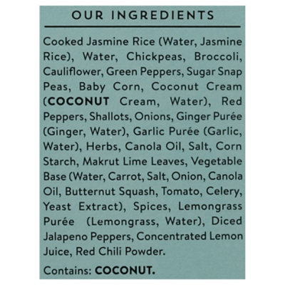 Strong Roots Curry Thai Green Vegetable Frozen Meal - 10 Oz - Image 4