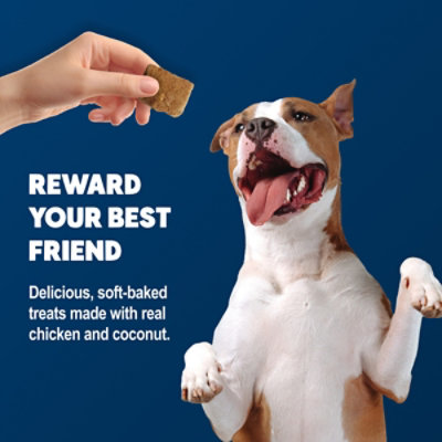 Blue Benefit Bar Immune Chicken and Coconut Dog Treats - 9 Oz. - Image 4