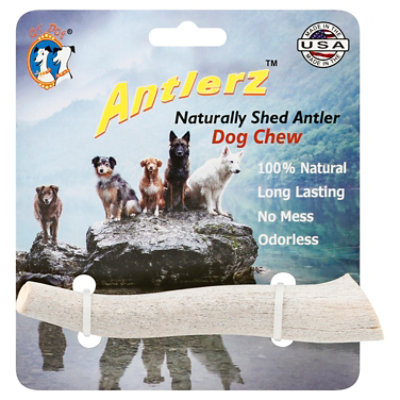 Qt Dog Antlerz Small - EA - Image 3