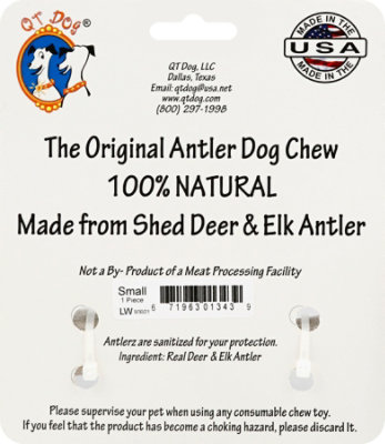 Qt Dog Antlerz Small - EA - Image 4