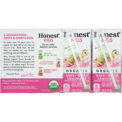 Honest Kids Juice Berry Good Lemonade 8Pk 48 fl oz (Pack of 5) - Image 4