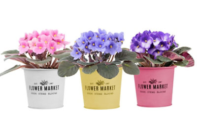 Violet Flower Market Tin 4 Inch - EA - Image 1