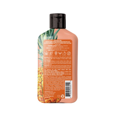 Sweet Pineapple & Honey Melon Herbal Body Wash 17 Oz. - 17 OZ - Image 3