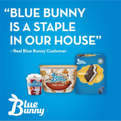 Blue Bunny S'mores Frozen Dairy Dessert Sandwich, 16 Fz - 16 FZ - Image 4