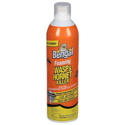 Bengal Foaming Wasp & Hornet Killer - 16 Oz - Image 1